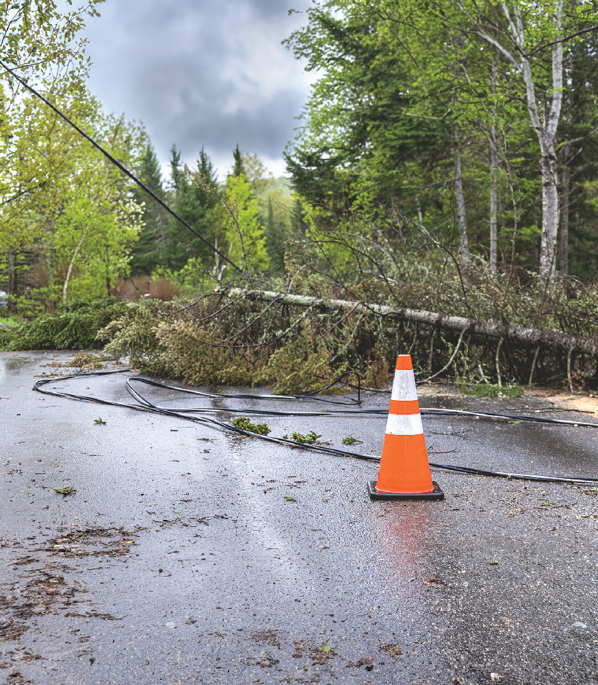 Downed Lines Under Downed Trees On road AStock 509015015 vehicle power pole accident